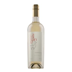 CAMINANTE LAS FLECHAS